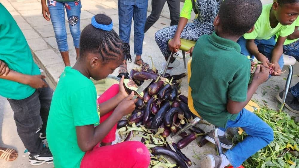 Journé des fruits